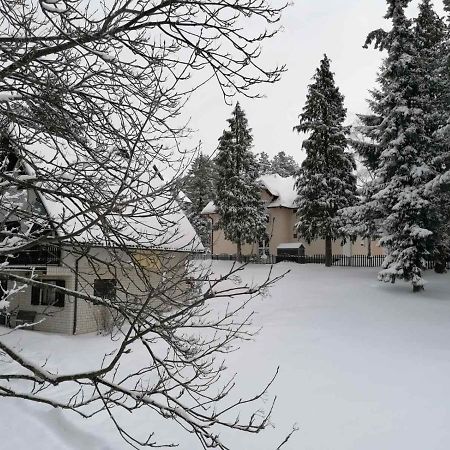 Kuca Za Odmor Zlatibor Villa Exterior foto