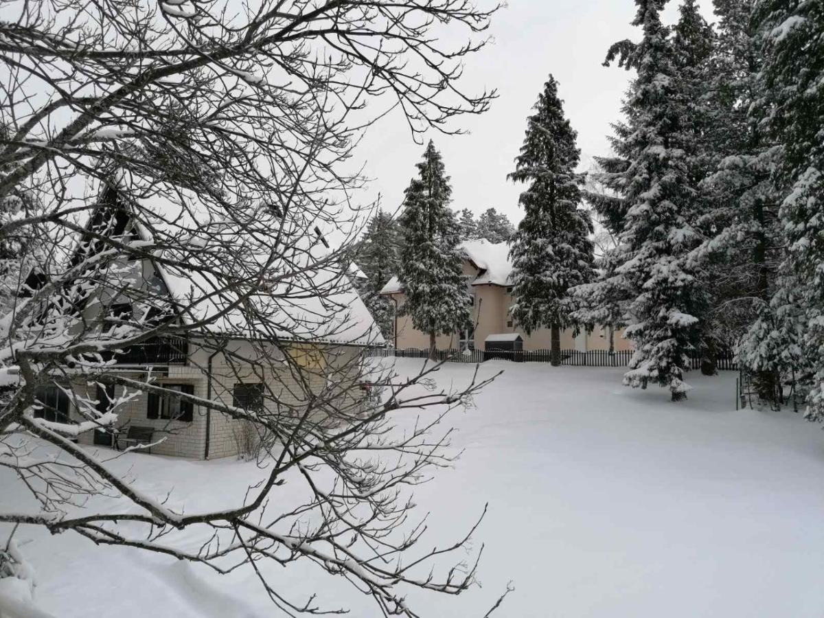Kuca Za Odmor Zlatibor Villa Exterior foto