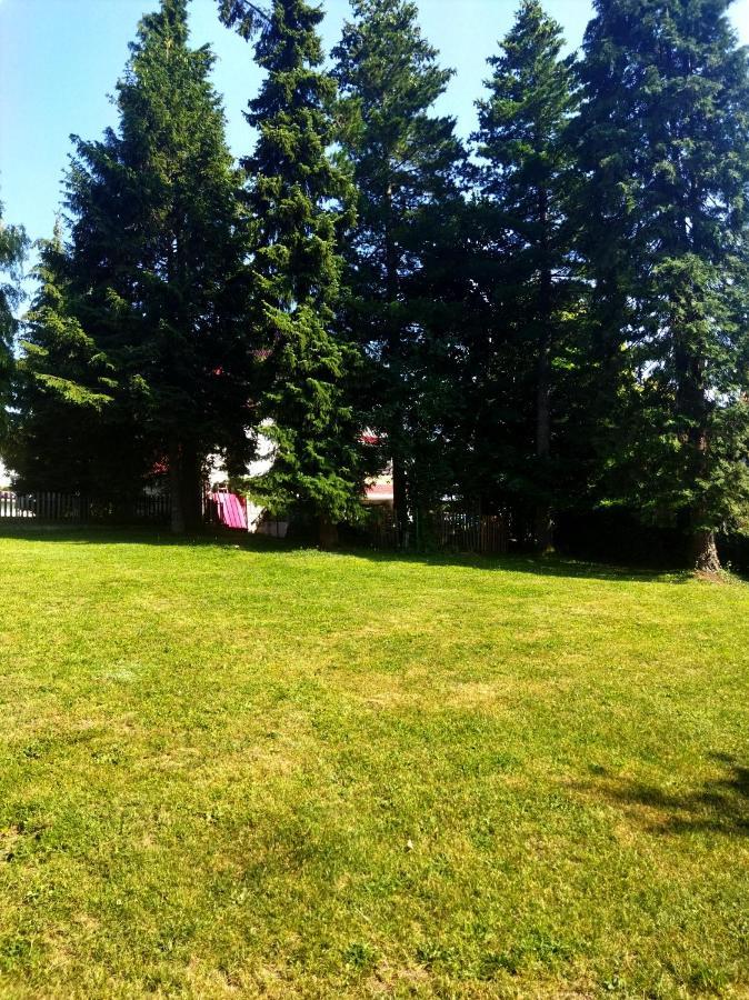 Kuca Za Odmor Zlatibor Villa Exterior foto